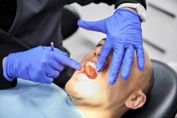 Best Weekend Emergency Dental Services in Park City, MT